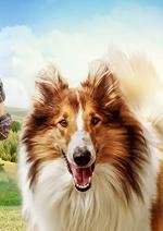 Лессі. Повернення додому