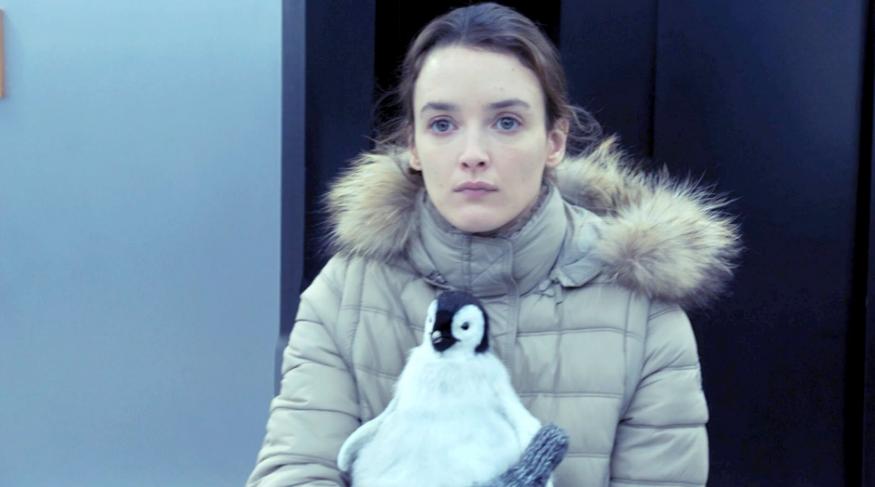 Кохання і пінгвіни