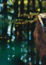 В країні фей