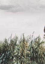 Погані дороги