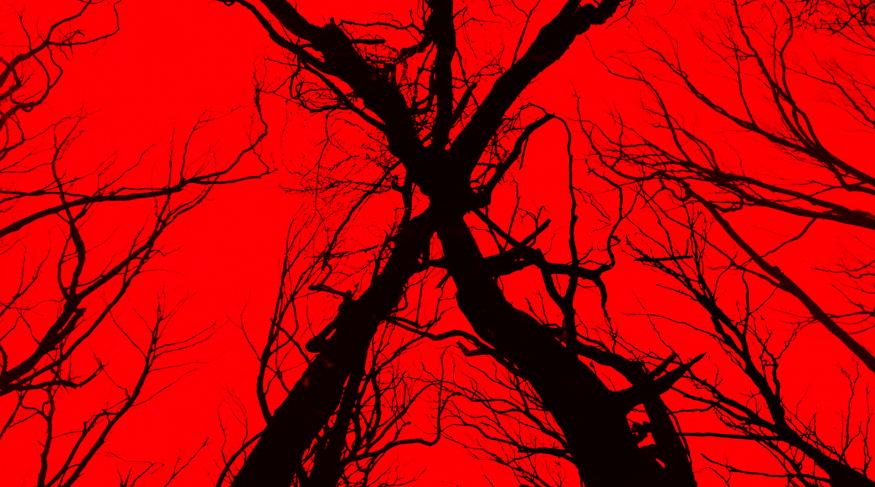 Відьма з Блер: Нова глава