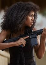 Тіньовий загін