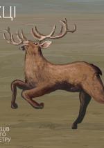 Переможці KISFF