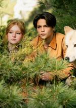 Хранителі лісу 2