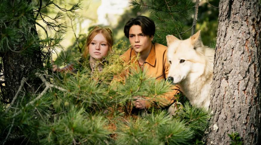 Хранителі лісу 2