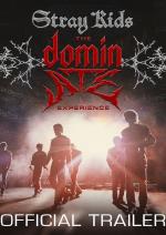 Стрей Кідс: Відчуй Домінейт