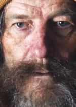 У всьому винен єнот