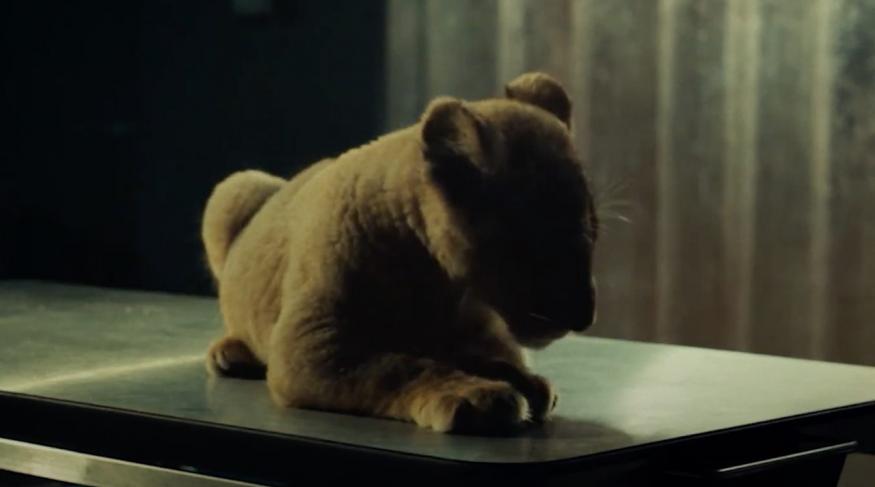 Король Левеня