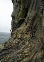 Голос монстра