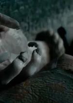 Мумія Лі Кроніна