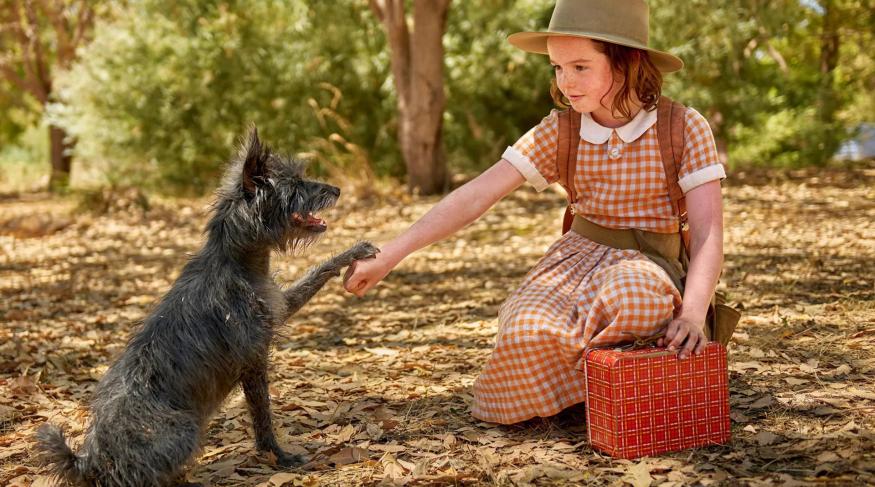 Талановитий містер Пес