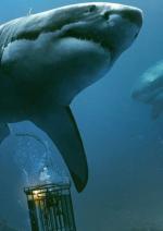 Синя безодня 2