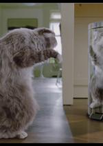 Дев'ять життів