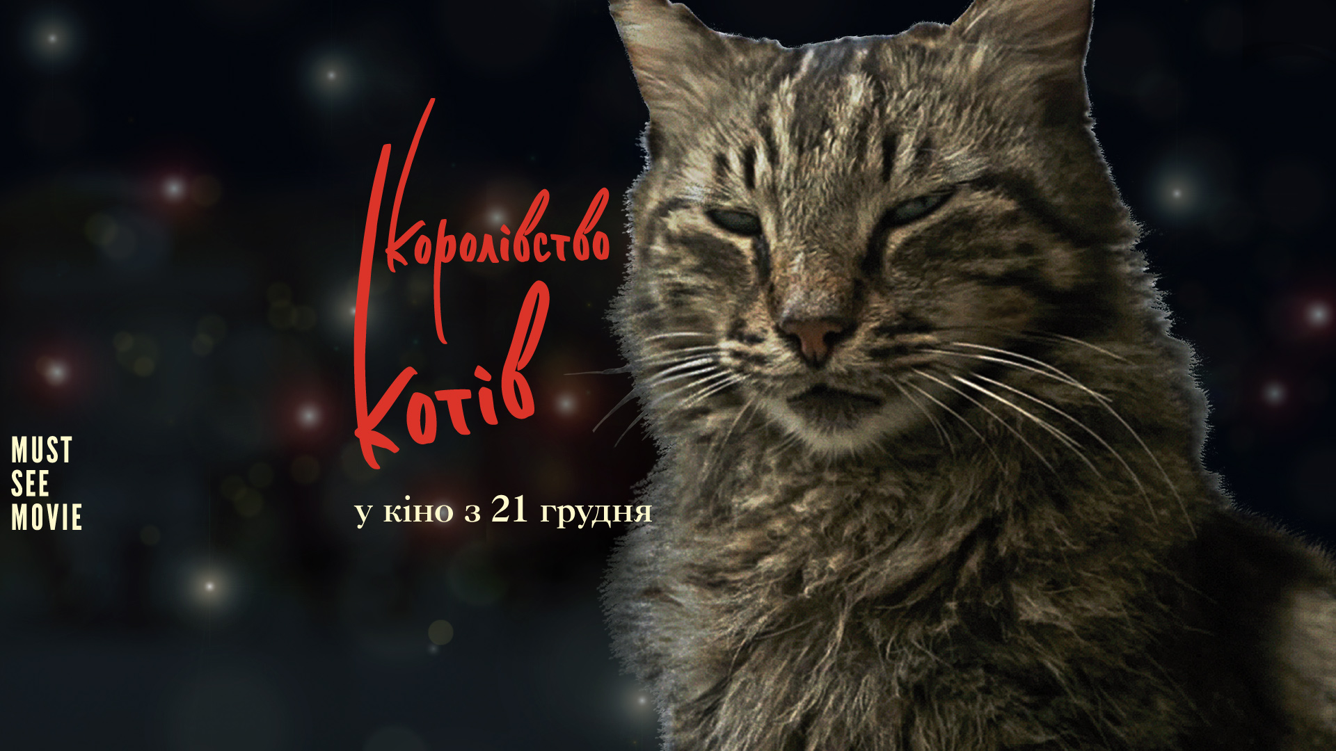 Королевство котов смотреть трейлер, купить и забронировать