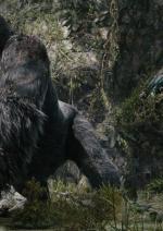 Конг: Острів черепа