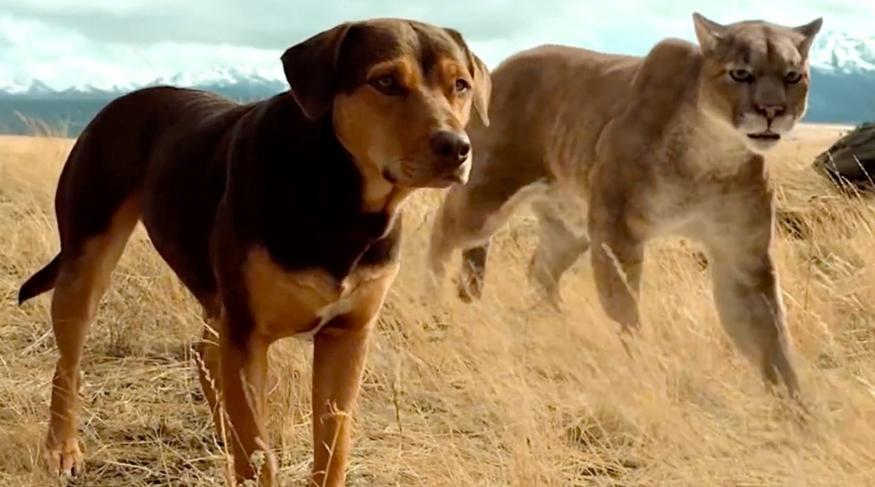 Шлях додому