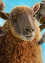 Вівці детективи