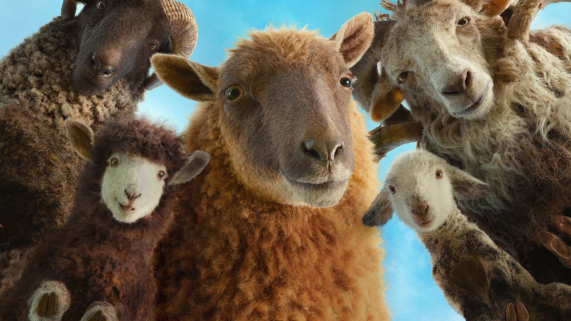 Вівці детективи