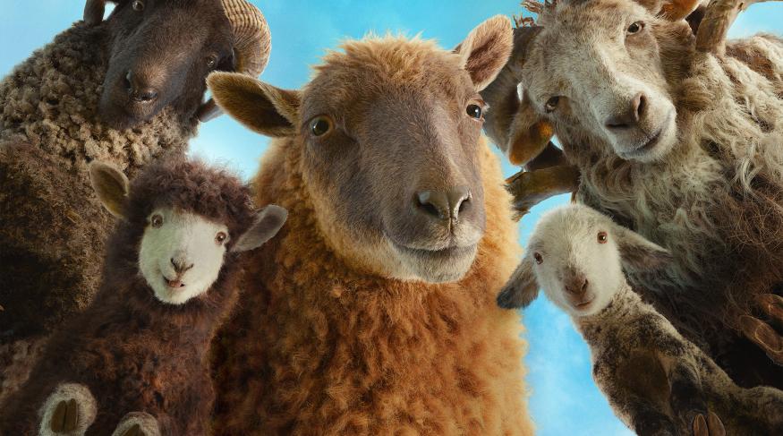 Вівці детективи