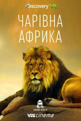 Прекрасна Африка!